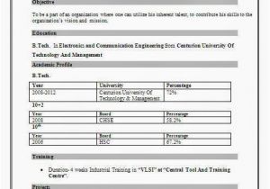 Resume format for Call Center Job Fresher Call Center Resume format
