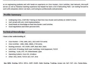 Resume format for Ccna Network Engineer Fresher Ccna Resume Samples top 5 Ccna Resume Templates In Doc