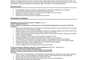 Resume format for Company Job Business Administration Resume Samples Sample Resumes