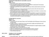 Resume format for Company Job Intercompany Analyst Resume Samples Velvet Jobs