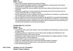 Resume format for Company Job Intercompany Analyst Resume Samples Velvet Jobs