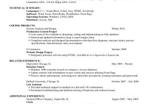 Resume format for Computer Job Computer Science Entry Level Resume Template