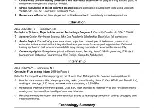 Resume format for Computer Job Sample Resume for An Entry Level Computer Programmer