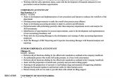 Resume format for Corporate Job Corporate Accountant Resume Samples Velvet Jobs