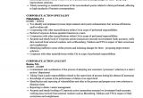 Resume format for Corporate Job Corporate Action Resume Samples Velvet Jobs