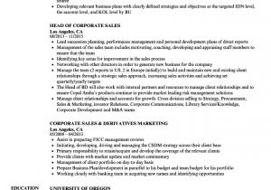 Resume format for Corporate Job Corporate Sales Resume Samples Velvet Jobs