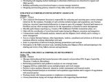 Resume format for Corporate Job Strategy Corporate Development Resume Samples Velvet Jobs