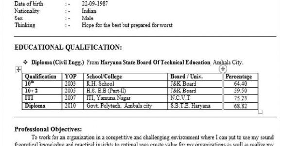Resume format for Diploma In Civil Engineering Freshers 40 Fresher Resume Examples