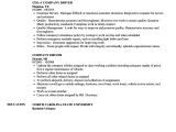 Resume format for Driver Job Company Driver Resume Samples Velvet Jobs