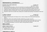 Resume format for Driver Job Sample Cv for Driver Custom Writing Services