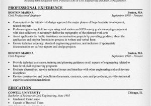 Resume format for Engineering Job Professional Engineering Resume Sample Resumecompanion