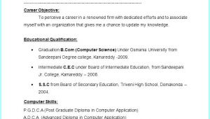 Resume format for Fresher Free Download In Ms Word 2007 10 Fresher Resumes Free Download Invoice Templatez