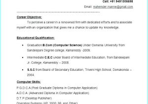 Resume format for Fresher Free Download In Ms Word 2007 10 Fresher Resumes Free Download Invoice Templatez