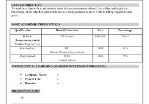 Resume format for Fresher Free Download In Ms Word 2007 Instrumentation Control Freshers Resume format Sample