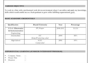 Resume format for Fresher Free Download In Ms Word 2007 Resume format Download In Ms Word 2007