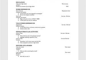 Resume format for Fresher Free Download In Ms Word 2007 top 10 Fresher Resume format In Ms Word Free Download