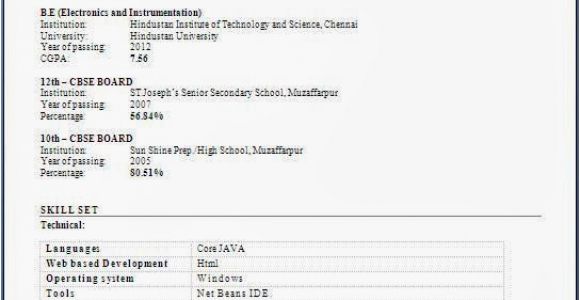 Resume format for Freshers Free Download Resume Templates