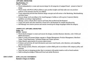 Resume format for Garments Job Apparel Designer Resume Samples Velvet Jobs