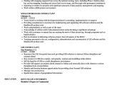 Resume format for Gis Job Gis Consultant Resume Samples Velvet Jobs