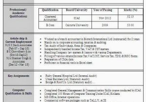Resume format for Government Job In India Best Resume formats for India Download