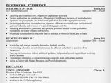Resume format for Government Job In India Government Jobs Resume Example Resumecompanion Com