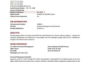 Resume format for Government Job Pdf Federal Resume Template 8 Free Word Excel Pdf format