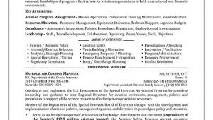 Resume format for Government Job Pdf Government Resume Example
