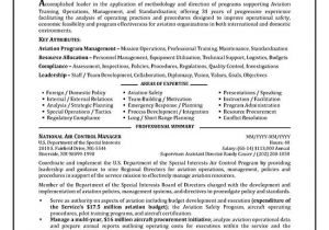 Resume format for Government Job Philippines Government Resume Example