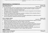 Resume format for Hospital Job Hospital Administrator Resume Resumecompanion Com