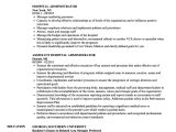 Resume format for Hospital Job Hospital Administrator Resume Samples Velvet Jobs