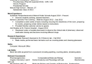 Resume format for Hospital Job Pharmacist Resume Template 6 Free Word Pdf Document