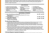 Resume format for Hr Job 9 Cv Professional Example theorynpractice