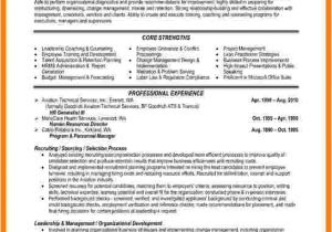Resume format for Hr Job 9 Cv Professional Example theorynpractice