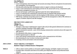 Resume format for Hr Job Hr Executive Resume Samples Velvet Jobs