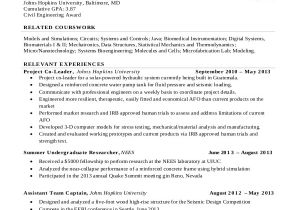 Resume format for It Engineer 17 Engineering Resume Templates Pdf Doc Free