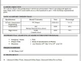 Resume format for Job Fresher 10 Fresher Resume Templates Download Pdf