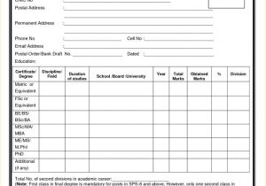 Resume format for Job In Excel Sheet 8 Free Download Biodata format for Job Incident Report