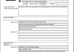 Resume format for Job In Excel Sheet Cv Resume Curriculum Vitae In Excel