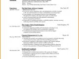 Resume format for Job Interview Ms Word 5 Resume Examples Microsoft Word Professional Resume List