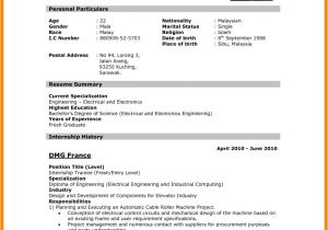 Resume format for Job Interview Pdf Download 9 Cv Model Download Pdf theorynpractice