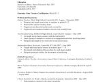 Resume format for Lecturer Word Sample Teacher Resume 9 Examples In Word Pdf