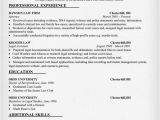 Resume format for Legal Job Legal Resume Sample Career Counseling with Kristen