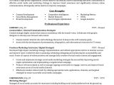 Resume format for Marketing Jobs Advertising Marketing Resume Sample Professional