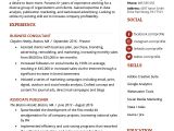 Resume format for Marketing Jobs Marketing Resume Sample Writing Tips Resume Genius