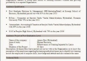 Resume format for Mba Freshers Free Download Resume Templates
