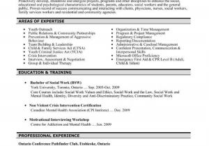 Resume format for Ngo Sector Job A Professional Resume Template for A social Worker Want