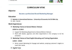 Resume format for Ngo Sector Job Ngo Thi Hien Cv