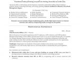 Resume format for Ngo Sector Job Non Profit Executive Page1 Non Profit Resume Samples