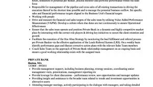 Resume format for Private Job Private Bank Resume Samples Velvet Jobs