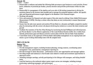 Resume format for Private Job Private Bank Resume Samples Velvet Jobs